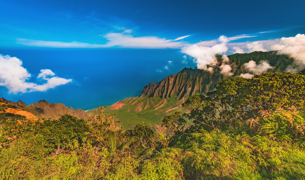 Visit Waimea Canyon State Park The Grand Canyon Of The Pacific